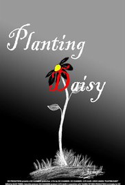 Planting Daisy