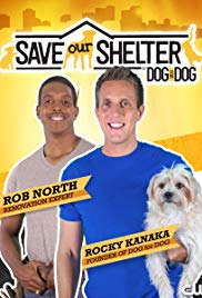 Save Our Shelter