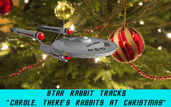 Star Rabbit Tracks - "Carole, There's Rabbits at Christmas"
