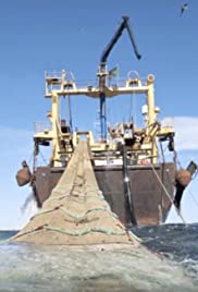 Lost at Sea: North America's Vanishing Fishing Industry