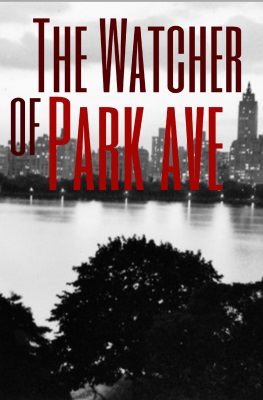 The Watcher of Park Avenue