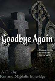 Goodbye Again