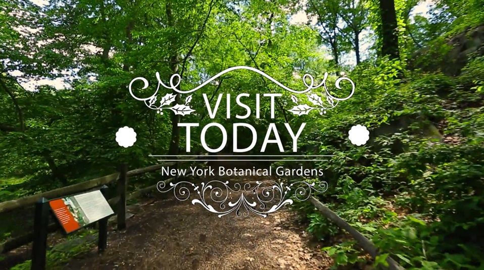 Botanical Gardens of New York