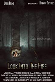 Look Into the Fire