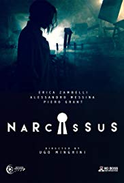 Narcissus