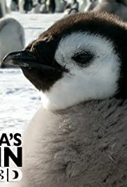 Antarctica's Penguin Emperors 3D