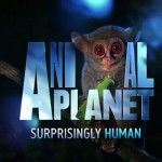 Animal Planet