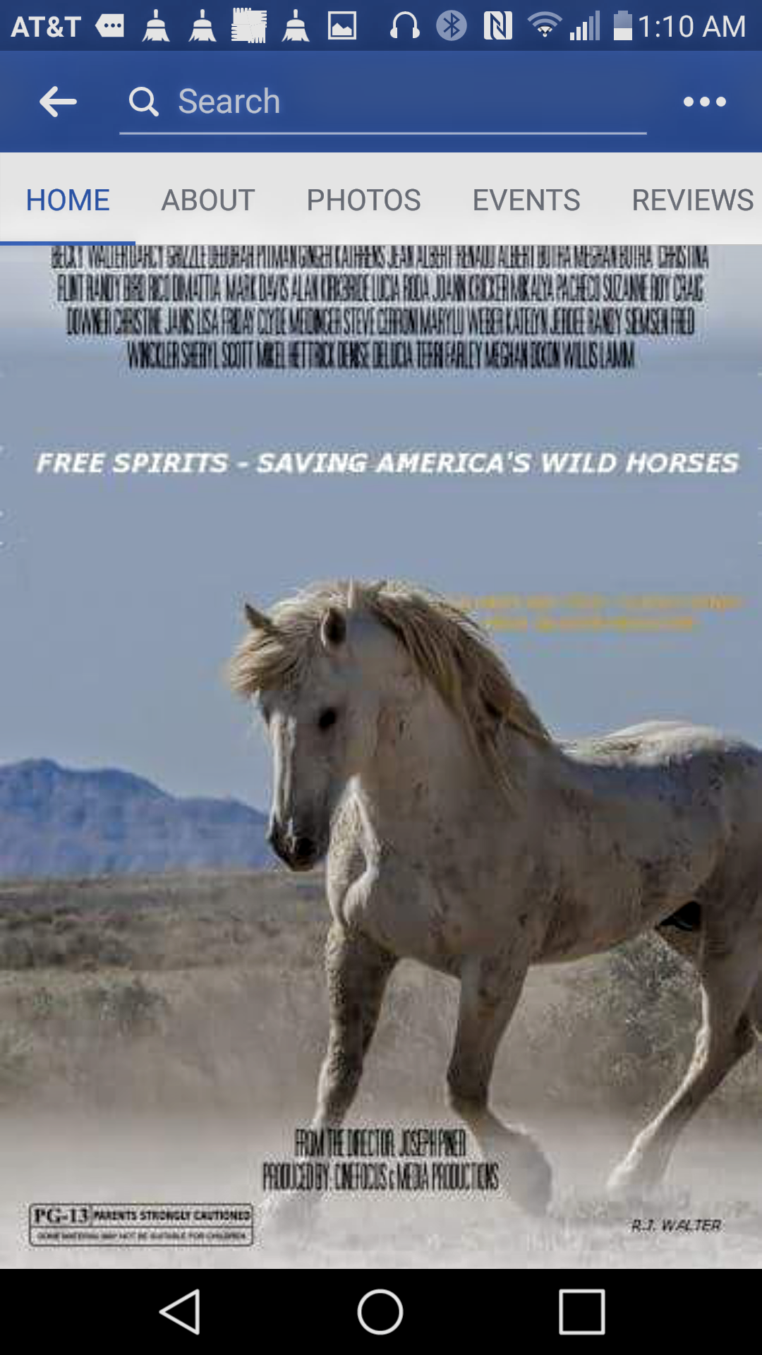 Free Spirits Saving America's Wild Horses 